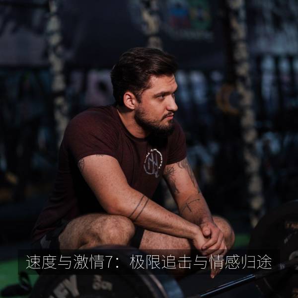 速度与激情7：极限追击与情感归途 海报