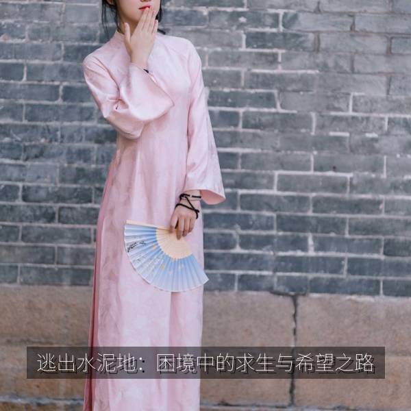 逃出水泥地：困境中的求生与希望之路 海报